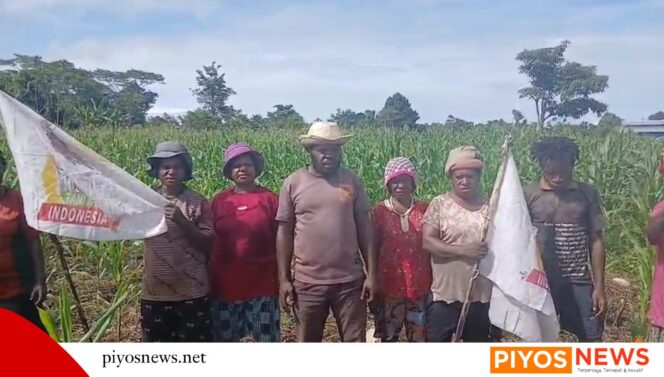 
					Lumbung Pangan Nasional Mulai Dieksekusi, Petani Sampaikan Terima Kasih kepada Presiden