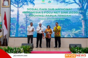 Img 20260211 wa0088