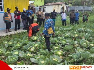Img 20260212 wa0097