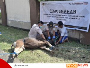 IMG 20260505 WA0040