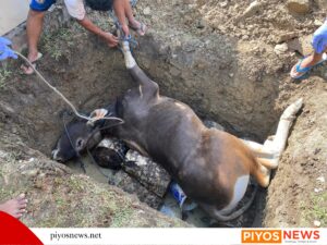 IMG 20260505 WA0051