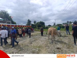 IMG 20260522 WA0106