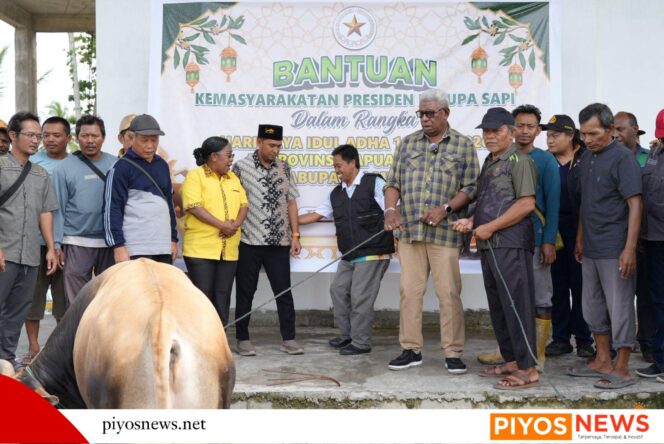 
					Bupati Mimika Johannes Rettob Serahkan Hewan Kurban Bantuan Presiden di Masjid Al-Ikhlas SP 1 Timika