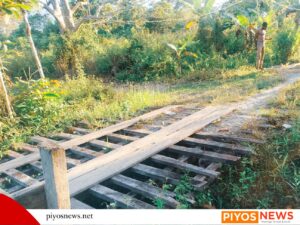 IMG 20260723 WA0087