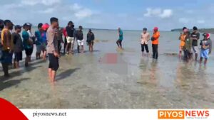 IMG 20260729 WA0162