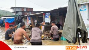 IMG 20261011 WA0033