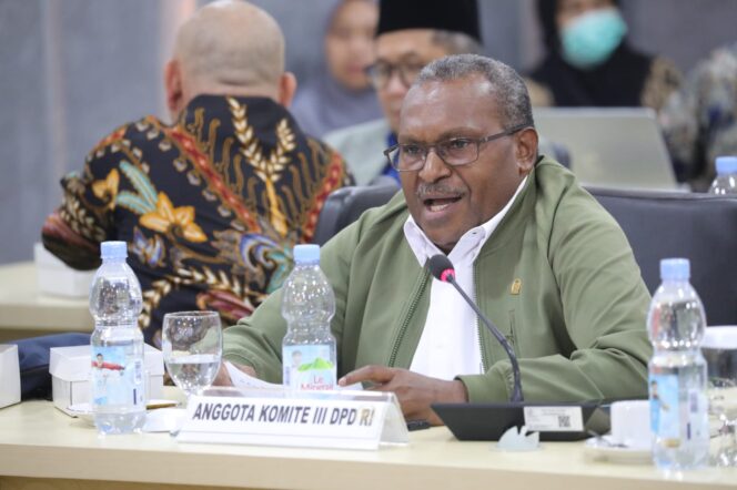 
					Anggota DPD RI Provinsi Papua Tengah, Wilhelmus Pigai