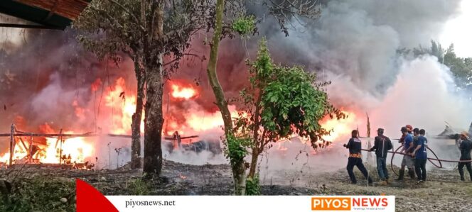 
					Dua Kebakaran Beruntun Terjadi Dalam Sehari di Timika