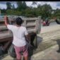 Img 20250408 Wa0166