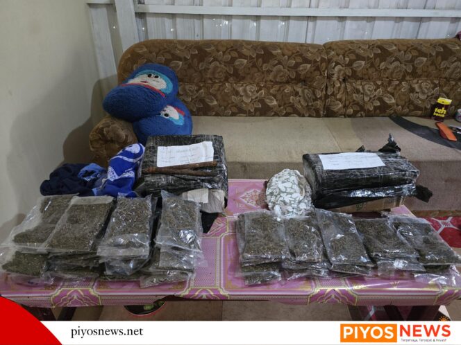 
					TNI Gagalkan Penyelundupan Ganja 1,2 Kg di Hamadi