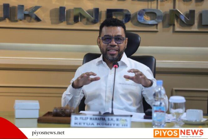 
					Ketua Komite III Dewan Perwakilan Daerah Republik Indonesia (DPD RI), Filep Wamafma