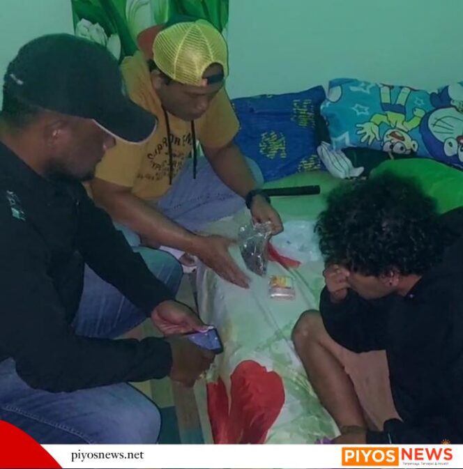 
					Gagalkan Peredaran Ganja di Timika, Polisi Amankan Pengedar di Jln. WR Supratman 