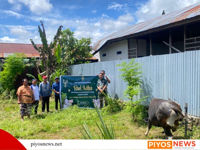 
					BPK RI Papua Tengah Serahkan Hewan Kurban Kepada Warga Bumi Wonorejo Nabire