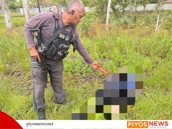 
					Satgas ODC Dalami Kasus Pembunuhan Warga Sipil di Dekai