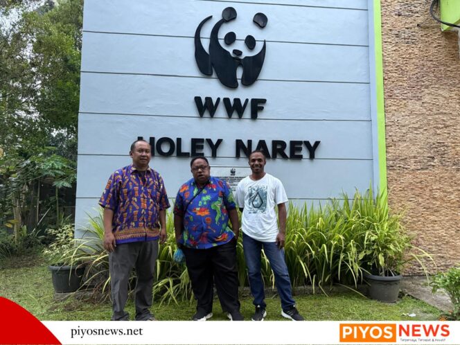 
					Tanah Adat Harus Dilindungi: DPD Papua Tengah Diskusikan PADIATAPA Bersama WWF Papua