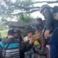 Img 20251018 wa0030