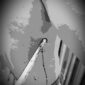 Img 20251226 wa0103