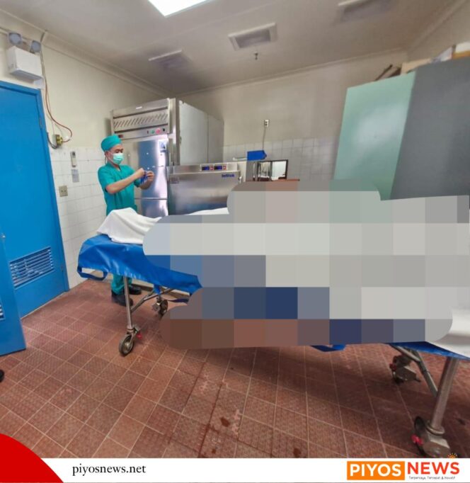 
					Gangguan di Wilayah Tembagapura Kembali Terjadi, Satu Karyawan Dilaporkan Tewas