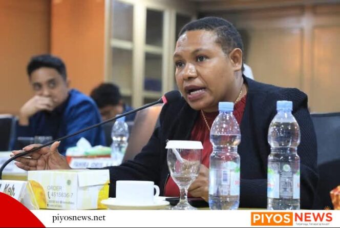 
					Desakan Hentikan Kekerasan di Dogiyai, Senator Soroti Dugaan Pelanggaran HAM