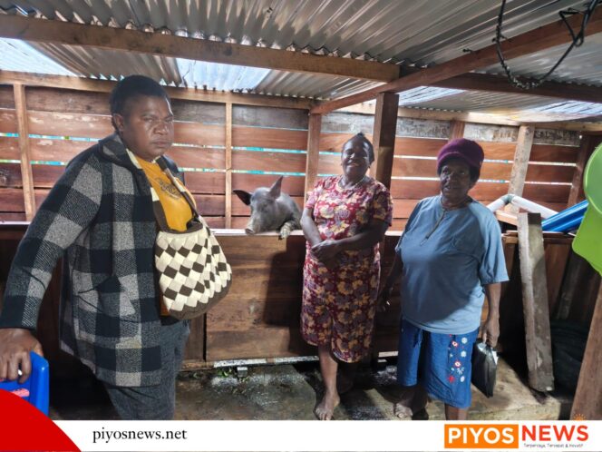 
					Dinsos Deiyai Terapkan Pola Pemberdayaan Berputar, Beli dari Warga untuk Warga