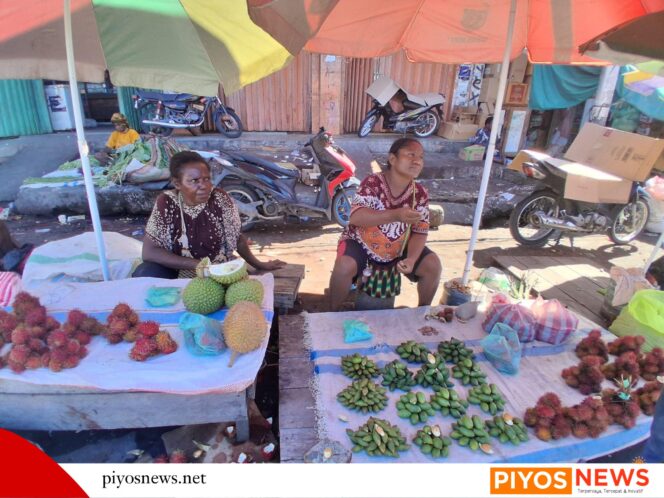 
					Papua Tengah Memanas, Kunjungan Berjalan: Mengapa Mama Papua Tetap di Pinggir