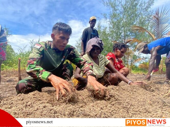 
					Dari Tanah ke Harapan: Satgas TMMD Bekali Warga Keakwa Teknik Semai Cabai Bernilai Ekonomi