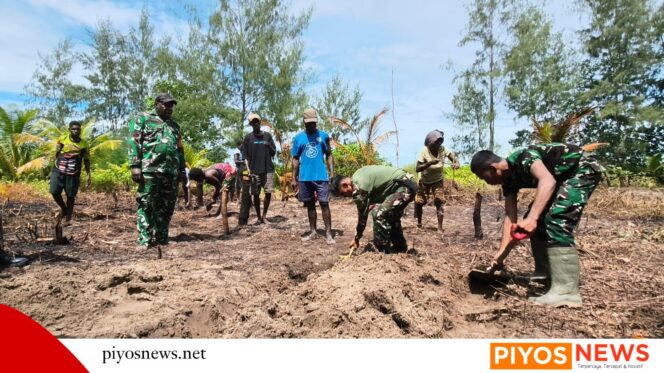 
					Keakwa Bersiap Panen Harapan, Bedengan Program TMMD Rampung 100 Persen