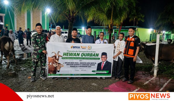 
					Anggota DPD RI Wilhelmus Pigai Salurkan Bantuan Hewan Kurban pada Hari Raya Idul Adha 1447 H untuk Masjid Al-Fattah