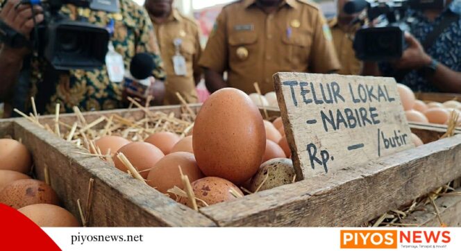 
					Lindungi Peternak Lokal, Pemprov Papua Tengah Kaji Pembatasan Penjualan Telur Ayam dari Luar Daerah