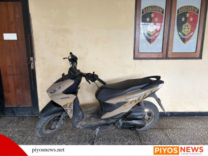 
					Kabur Bawa Motor Curian dari Pantai Sowa, Pelaku Akhirnya Dibekuk Resmob Nabire