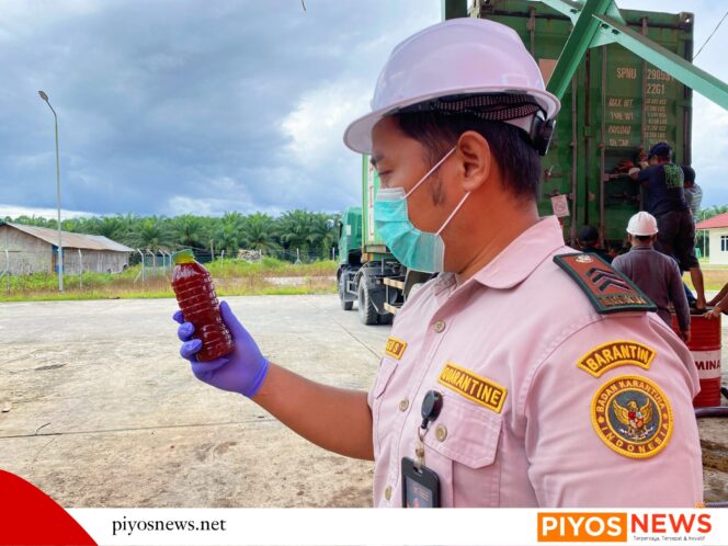 
					Karantina Papua Tengah Awasi Pengiriman 604 Ton CPO dari Mimika ke Surabaya