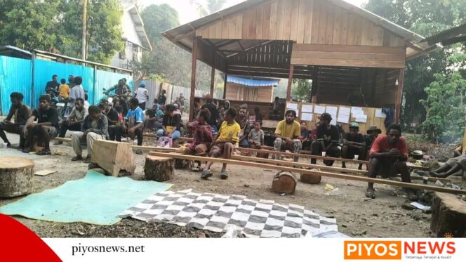 
					KO’SAPA Perkuat Kaderisasi Sastra dan Budaya Papua, Siapkan Sejumlah Program Strategis