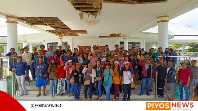 
					Peternak Babi di Mimika Desak Pemda Buka Akses Pasar dan Hentikan Daging Beku dari Luar