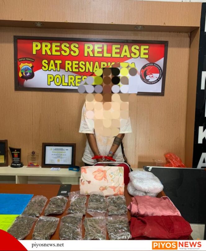 
					Terima Paket dari Jayapura, Seorang IRT Diamankan Polisi Bersama 10 Paket Ganja