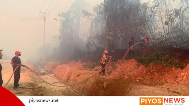 
					DPRP Papua Tengah Apresiasi Respons Cepat Pemerintah Tangani Karhutla di Nabire