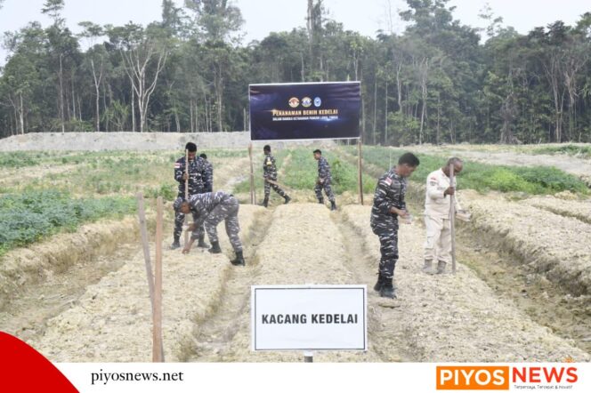 
					Dankodaeral XI Tinjau Lahan 2,5 Hektare di Timika, Dorong Penguatan Ketahanan Pangan