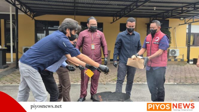 
					Paket Ganja dari Jayapura Digagalkan, Polisi Musnahkan 161,37 Gram