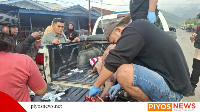 
					Polda Papua Tengah Kirim Tim Ditreskrimum Selidiki Pengeroyokan Anggota Polsek Kamu