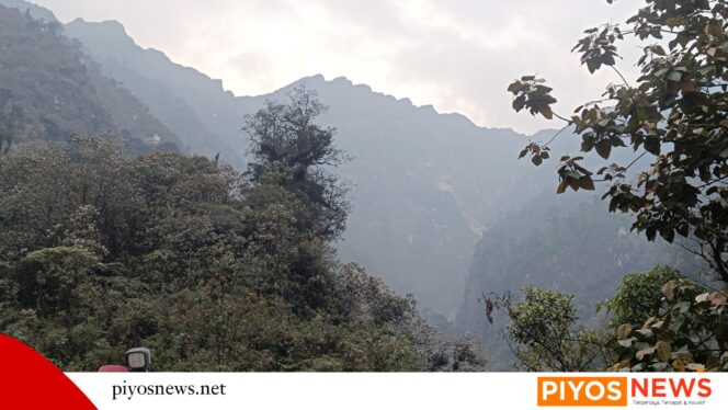 
					Kebakaran Hutan di Mile 72 Tembagapura Mulai Padam, Tim Gabungan Tetap Siaga Antisipasi Bara Api