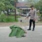 IMG 20261025 WA0004