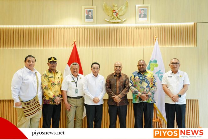 
					Papua Tengah Usulkan Ambulans Darat, Kemenkes Respons dengan Rencana Helikopter Medis